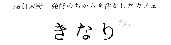 きなり 越前大野